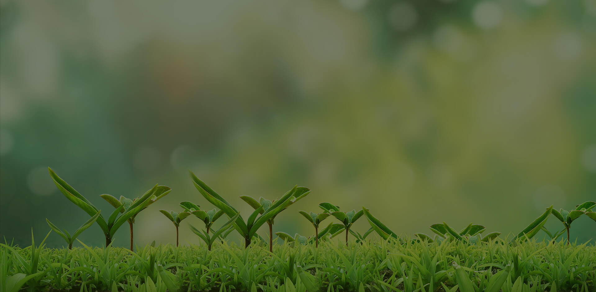 南宫NG28(中国集团)有限公司官网